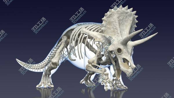 images/goods_img/20210312/Triceratops Skeleton with Transparent Skin Rigged 3D model/1.jpg